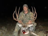 Mule Deer