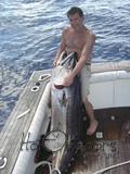 Near world record Dogtooth Tuna