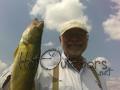 Ashtabula Walleye