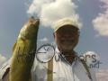 Ashtabula Walleye