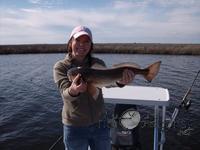 Brandi's first on artificial