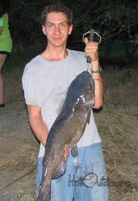 16.5 lb Catfish